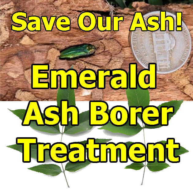 Save My Ash EAB Contact Form Trees Vermont